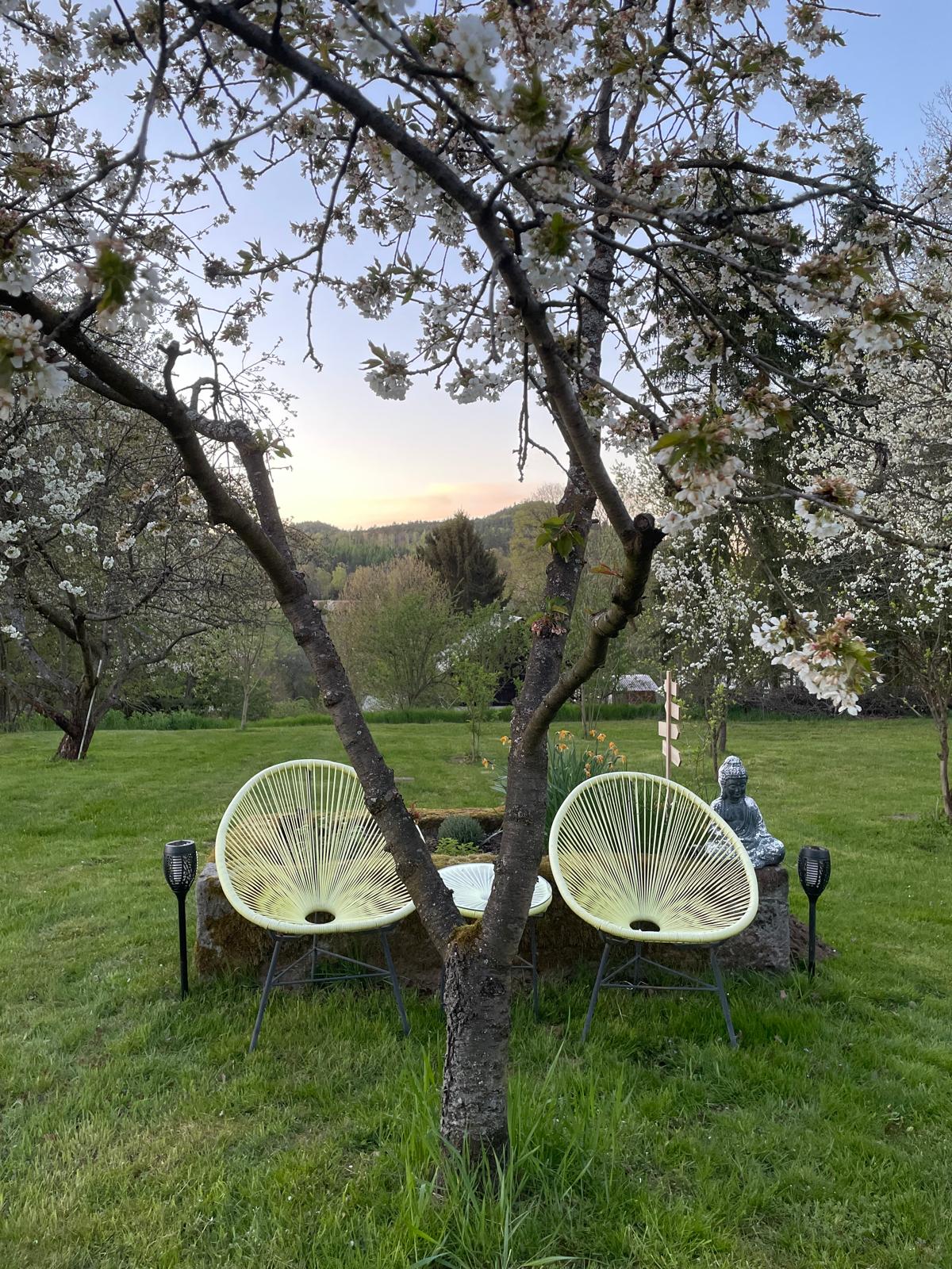 Sitzplatz unter einem blühenden Baum im Garten