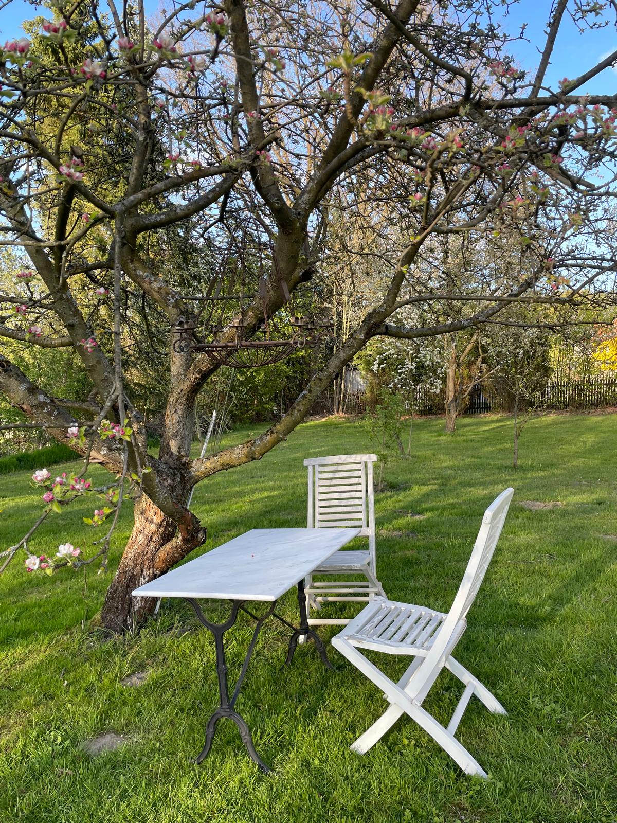 Tisch und Stühle unter einem Apfelbaum im Garten